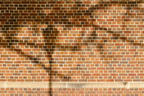 istock Vintage brown multi-hued brick wall texture in English bond pattern with tree shadows 1182307681