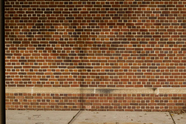 istock Vintage brown multi-hued brick wall texture in English bond pattern with tree shadows 1182308065