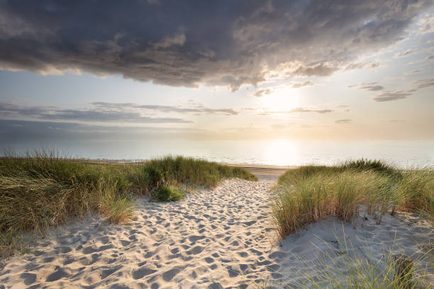 istock sand path to north sea beach at summer sunset 1182311402