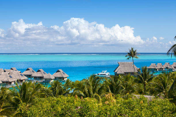 istock French Polynesia. Over water bungalows and palm trees 1182312170