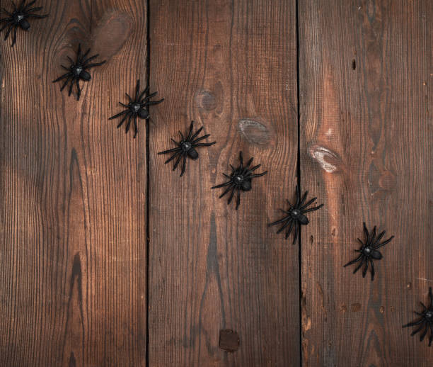 istock black spider figurines on brown wooden background 1182312892