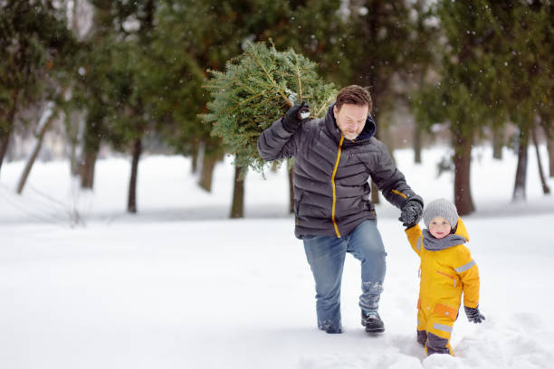 kleiner junge mit seinem vater bringt einen weihnachtsbaum aus dem winterwald überwindungreich schneeverwehungen und schneefall. - baby beautiful little boys carrying stock-fotos und bilder