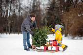 Little boy with his father lay a Christmas tree on a sled to take it home from winter forest.