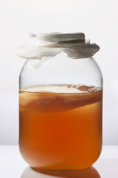 kombucha dans le pot en verre sur le fond blanc. - fungus science bottle glass photos et images de collection