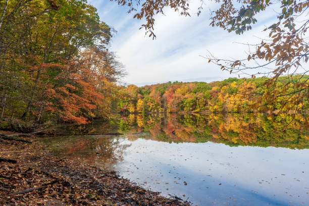 istock On the shore in autumn 1182319023