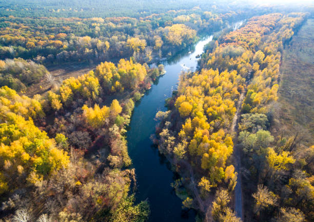 istock Aerial view to autumn forest and river bend 1182319193