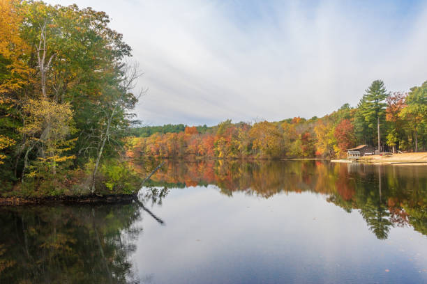istock Autumn day on the lake 1182319365