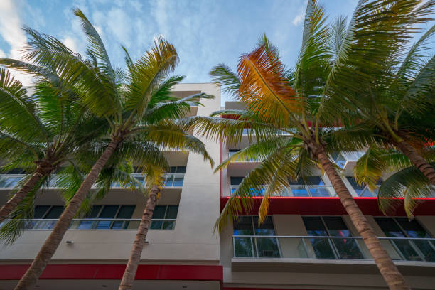 istock Palm trees and apartment buildings 1182321003