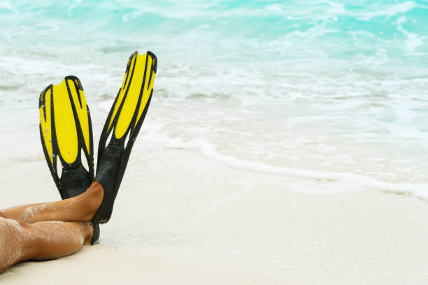 istock Female legs in flippers 1182321717