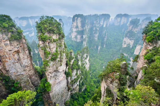 Famous tourist attraction of China - Avatar Hallelujah Mountain in Zhangjiajie stone pillars cliff mountains at Wulingyuan, Hunan, China