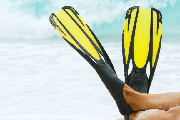 istock Female legs in flippers 1182321864