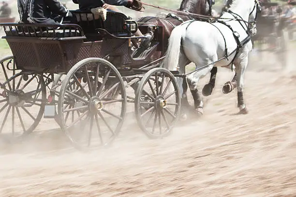 Photo of horses pulling carriage
