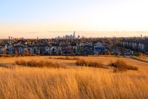 A wide view of Edmonton's New Skyline from the newly developed Griesbach Community in the North side of the city on a sunny day. In the front is the wild wheat field in the community park, the Griesbach residential district in the middle, and the highrises in distance claims where downtown Edmonton is.