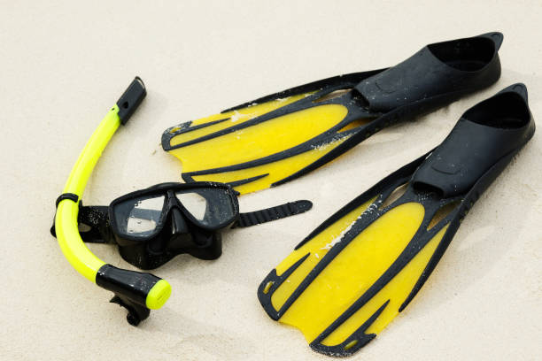 istock Equipment for snorkeling 1182323169