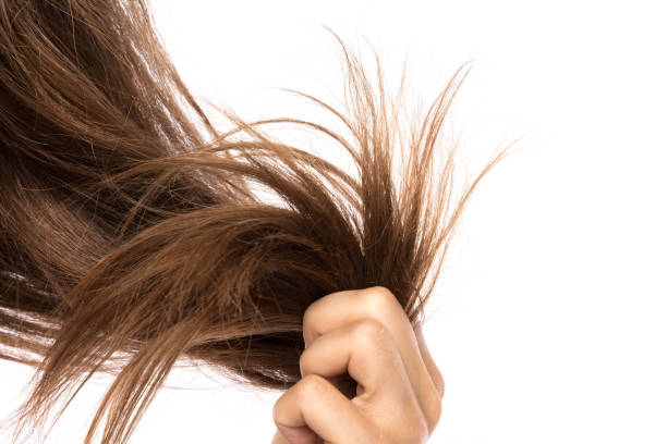 istock Female hair 1182323265