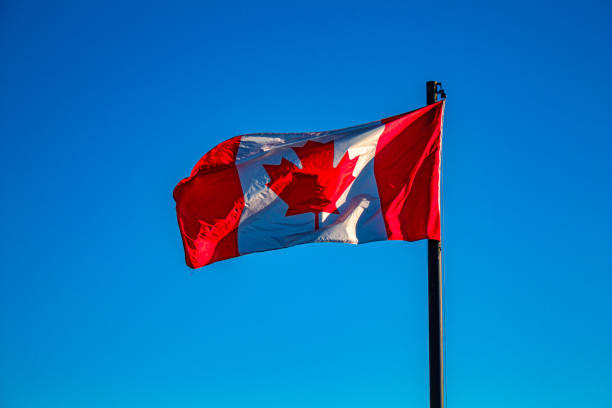 istock Vibrant Canadian Flag in the Wind 1182324289