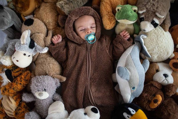 istock His cuddly nap buddies 1182325383