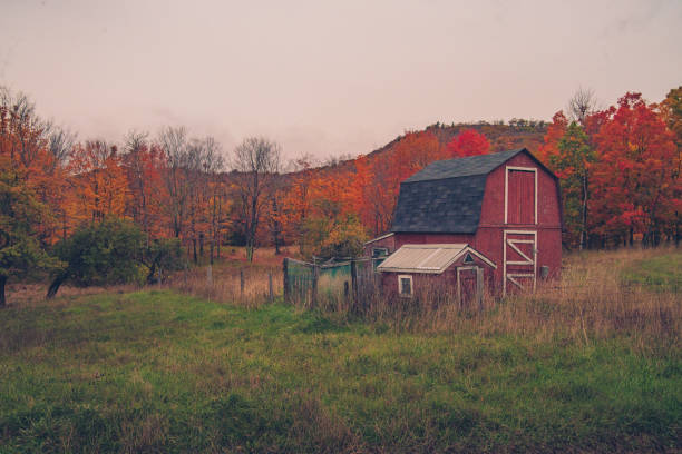 istock Autumn Landscape - Red Barn 1182326551