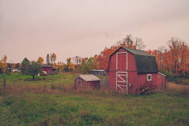 istock Autumn Landscape - Red Barn 1182326677