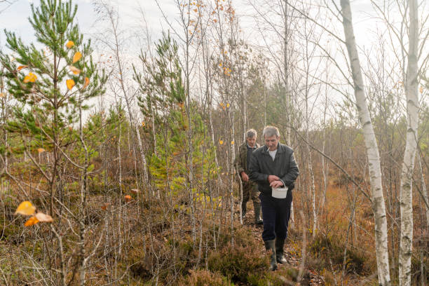 istock Two senior men walking on a path through a swamp 1182327760