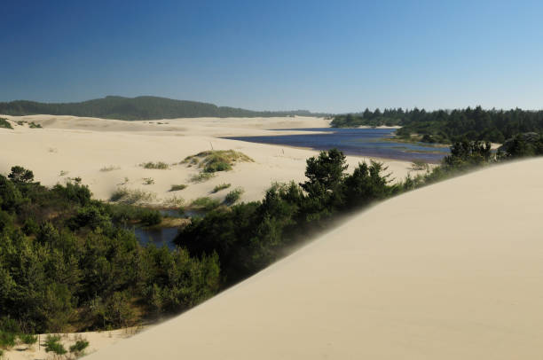 オレゴンデューンズの大きな砂丘 - oregon beach ストックフォトと画像