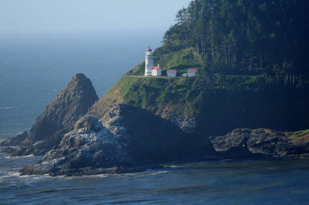 istock Heceta Head Lighthouse Oregon USA 1182333857
