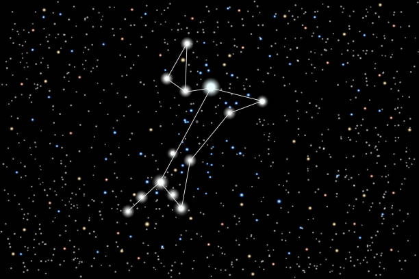 ilustrações, clipart, desenhos animados e ícones de vector a ilustração da constelação grande cão em um fundo estrelado do céu preto. - peso descrição física