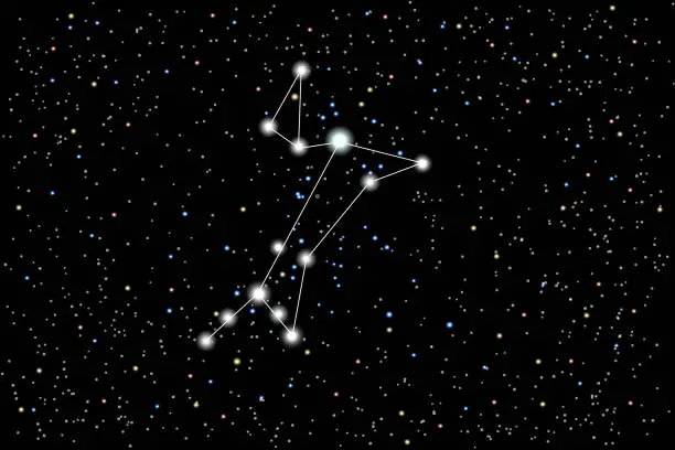 Vector illustration of Vector illustration of the constellation Great Dog on a starry black sky background.