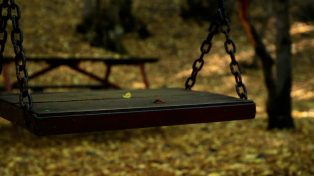 Empty swing in autumn