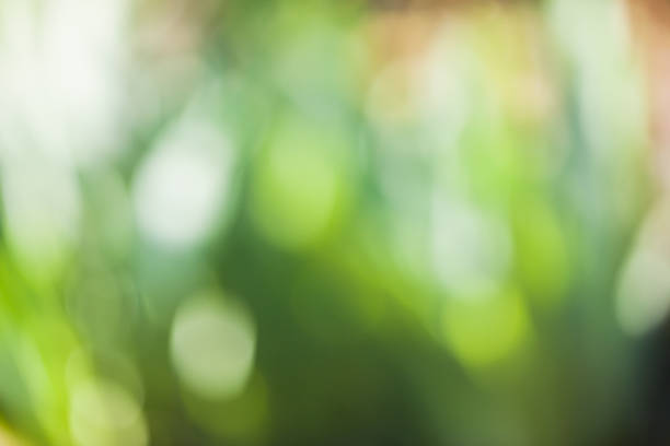istock Blurred Background of autumn nature 1182341623