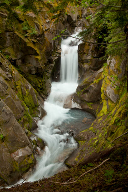 istock Pacific Northwest Waterfalls and Flowing Waters 1182343809