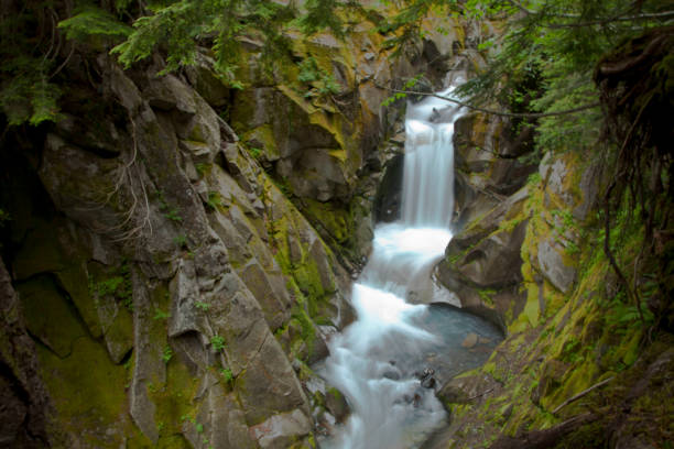 istock Pacific Northwest Waterfalls and Flowing Waters 1182343817