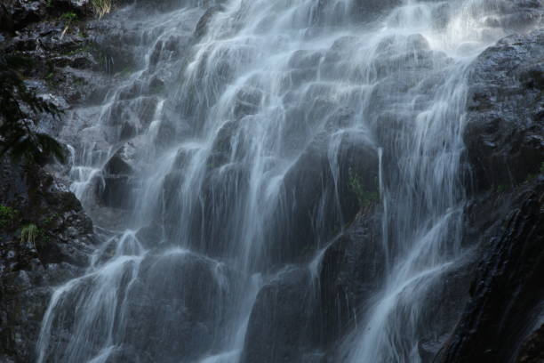 istock Pacific Northwest Waterfalls and Flowing Waters 1182343936