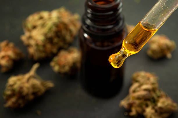 Natural remedies for chronic pain, legal weed products and medicinal applications of marijuana concept theme with close up on glass dropper with CBD oil and cannabis buds in the background Natural remedies for chronic pain, legal weed products and medicinal applications of marijuana concept theme with close up on glass dropper with CBD oil and cannabis buds in the background cbd oil photos stock pictures, royalty-free photos & images