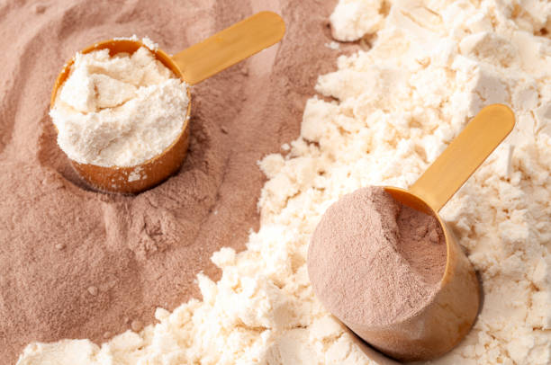 dieta bodybuilding, nutrizione dell'esercizio fisico, crescita della massa muscolare e integratore di allenamento nutriente completano l'idea concettuale con primo piano su due misuri di misurazione di caseina e proteine del siero di latte in polvere - whey protein concentrate foto e immagini stock