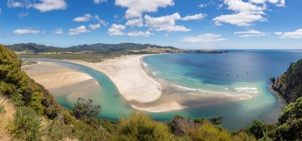 istock Great barrier island landscape 1182349322