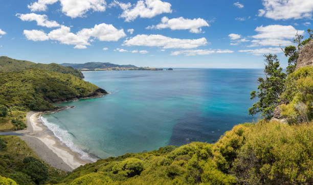 istock Great barrier island landscape 1182349356