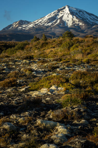 Volcanic landscape of the Tongariro National Park in New Zealand. Walking track.
