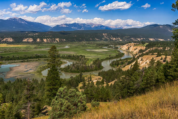 River valley landscape in sunny summer day
