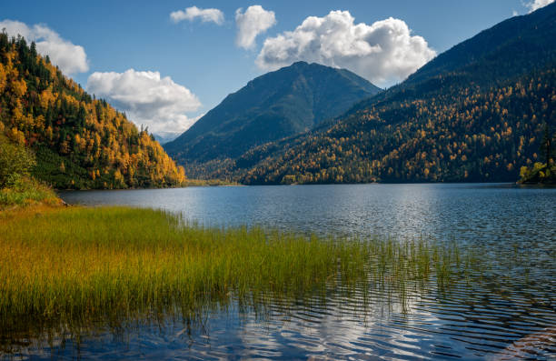 istock Autumn in mountains range Khamar-Daban 1182351874