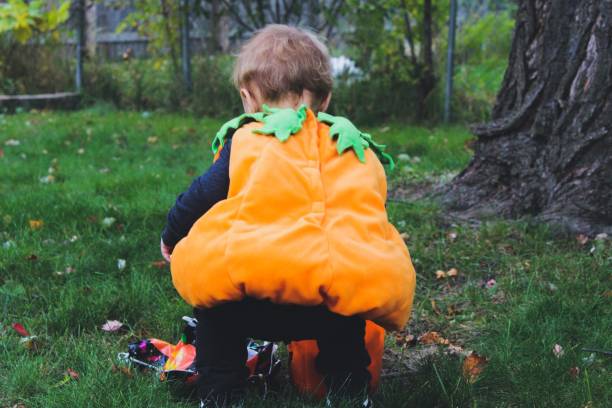 istock Toddler dressed as pumpkin 1182355289