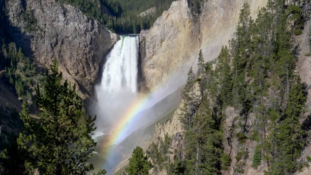 istock lower yellowstone falls and a rainbow from red rock point in yellowstone 1182356663