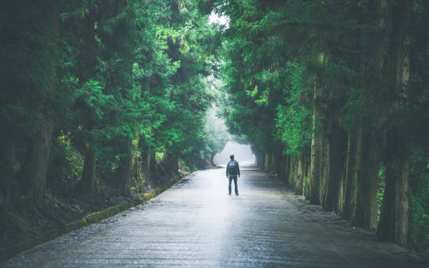 istock Traveler with backpack walking on road 1182357583