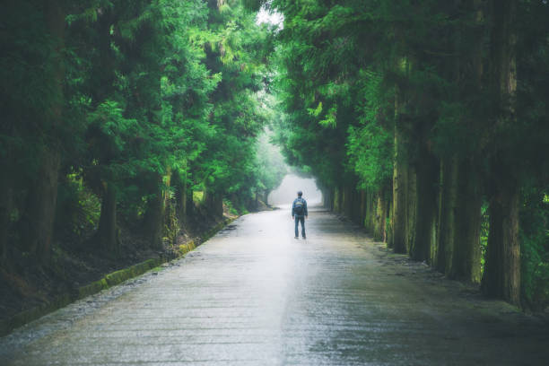 istock Traveler with backpack walking on road 1182357603