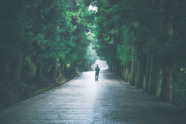istock Traveler walking on forest road 1182358107