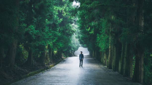 istock Traveler walking on forest road 1182358112