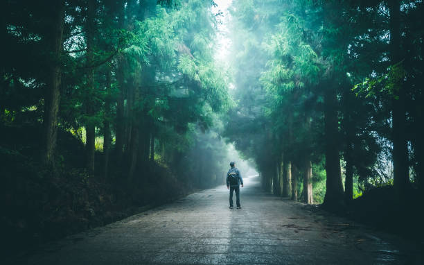 istock Traveler with backpack walking on road 1182358352