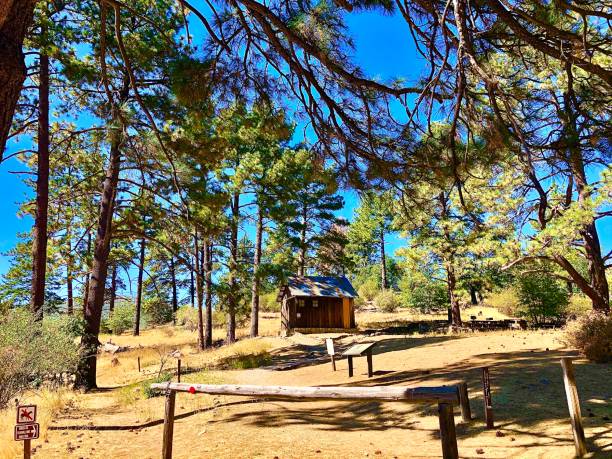 istock Outhouse in the forest 1182358554