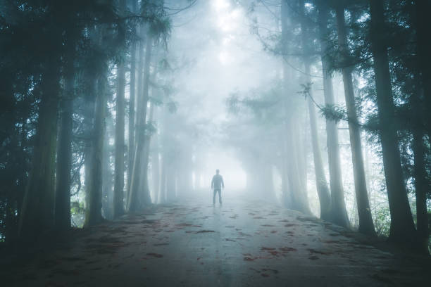 istock Lost in the fog wood 1182358574