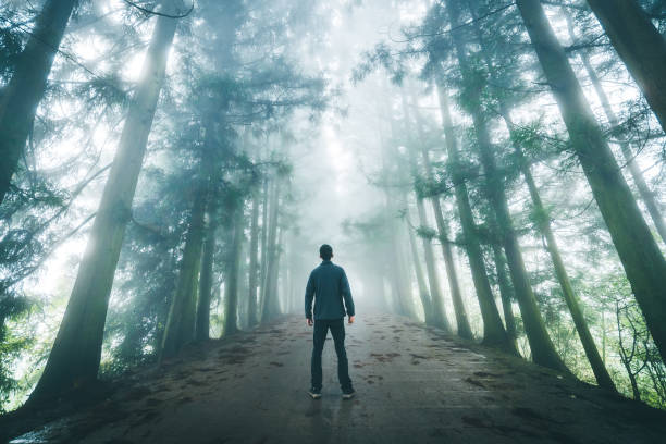 istock man standing on foggy forest road 1182359108